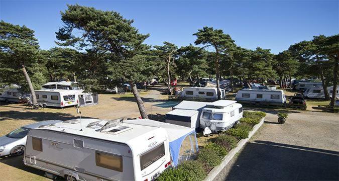 Dueodde Camping Εξωτερικό φωτογραφία